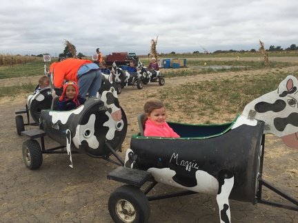 Riding in the Cow Train